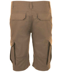 01660 Chestnut Back