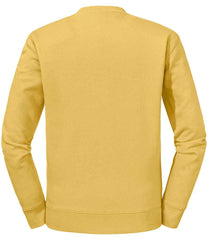 262M Mustard Back