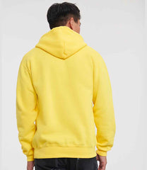 575M Yellow Model