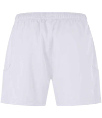 CN313 White Back