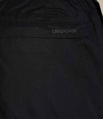 CR231 Black Model