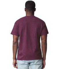 GD02 Maroon Model
