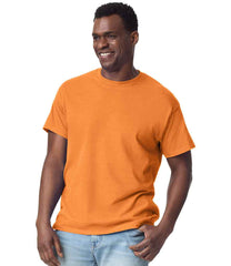 GD02 Tangerine Model