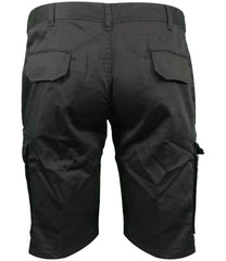 HL241 Black Back