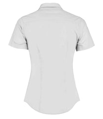 K241 White Back
