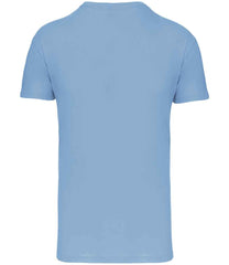 KB3025IC Sky Blue Back