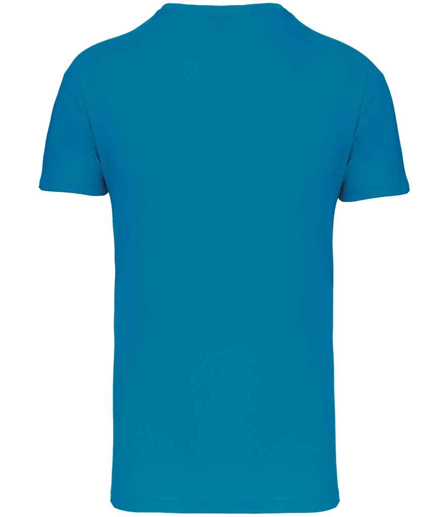 KB3025IC Tropical Blue Back