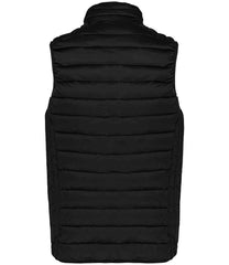 KB6113 Black Back