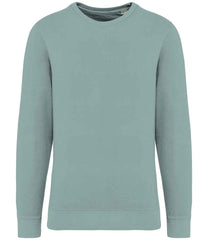 NS414 Washed Jade Green Front