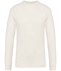 NS423 Ivory Front