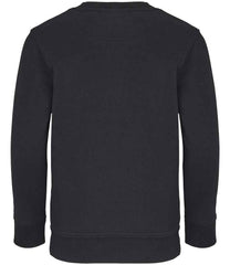 04239 Black Back