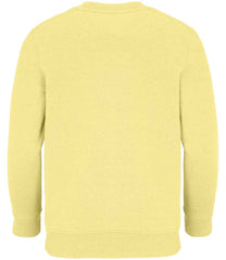 04239 Light Yellow Back