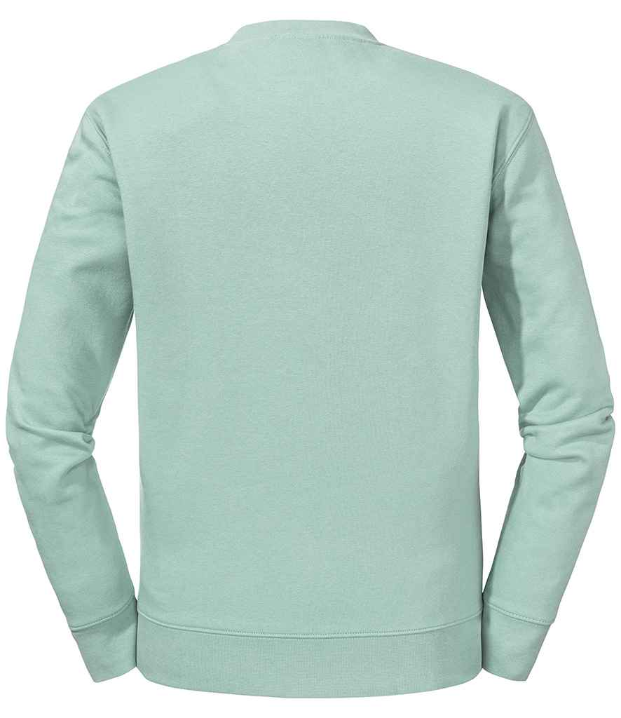 262M Eucalyptus Green Back