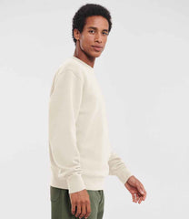 262M Natural Model