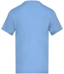 AT001 Cornflower Back