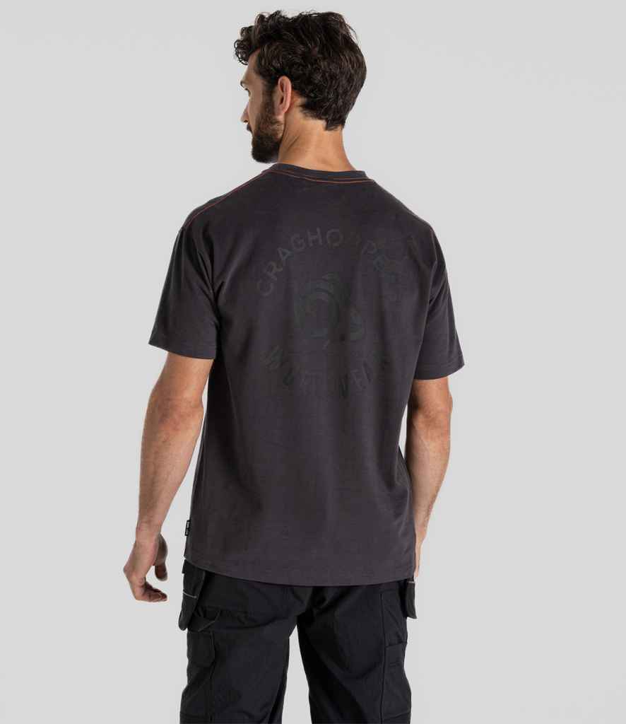 CR701 Carbon Grey Model