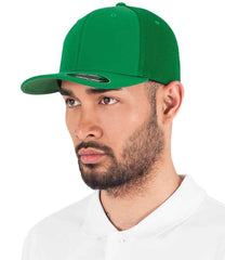 F6533 Green Model