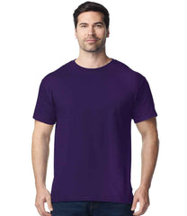 GD05 Fan Dark Purple Model