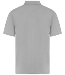 H475 Silver Back