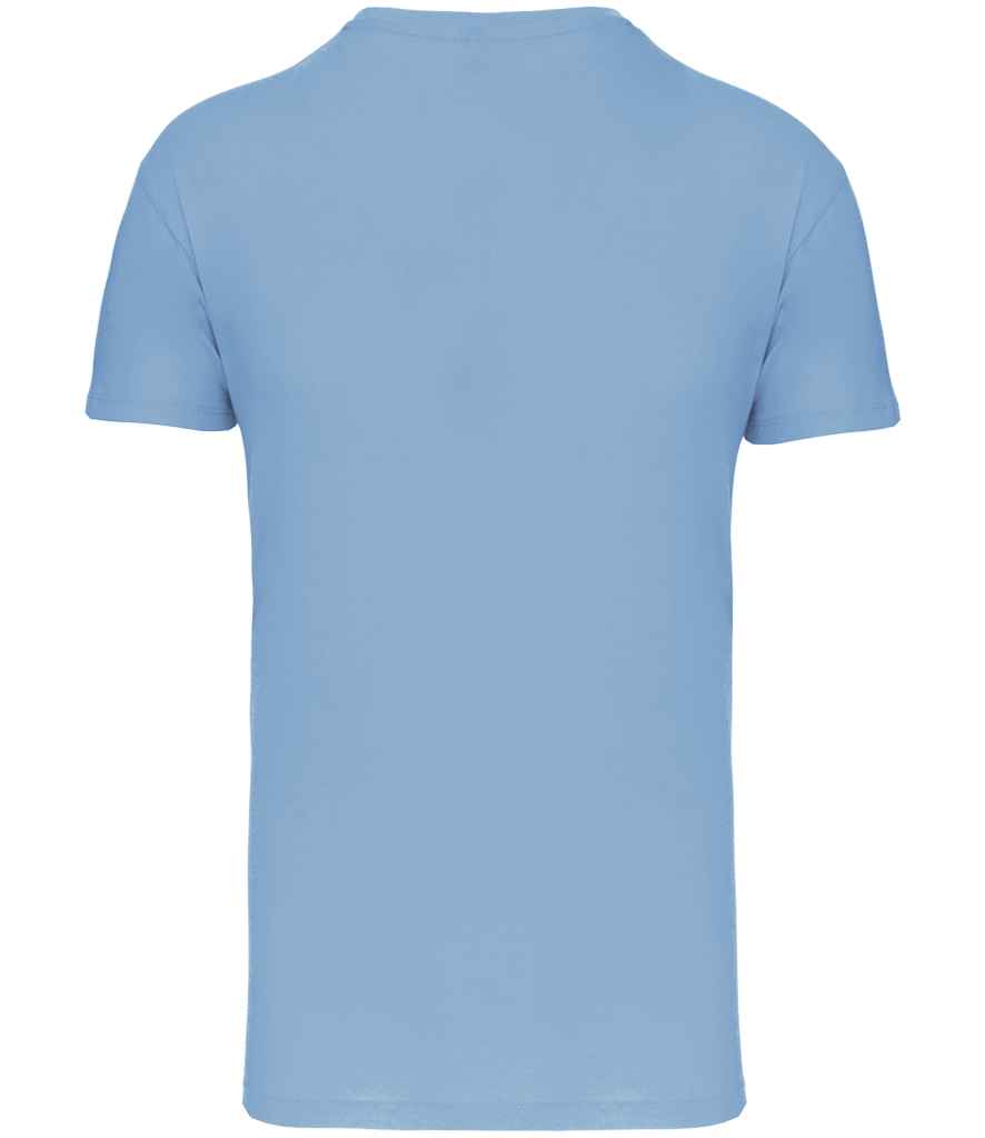 KB3025IC Sky Blue Back