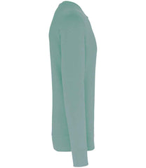 KB4026 Sage Left