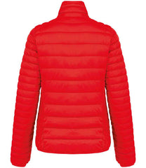 KB6121 Red Back
