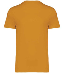 NS305 Curcuma Back