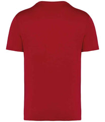 NS305 Hibiscus Red Back