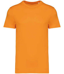 NS305 Tangerine Front