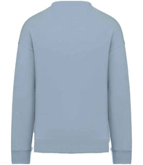 NS407 Aquamarine Back