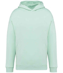 NS408 Brook Green Front