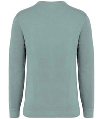 NS414 Washed Jade Green Back