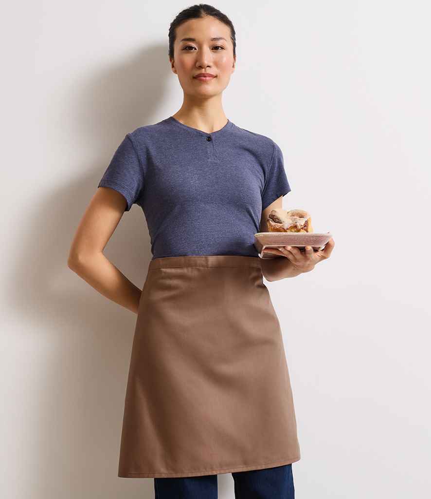 PR151 Mocha Model