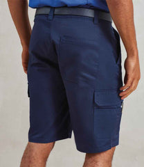 PR564 Navy Model