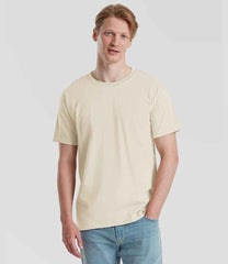 SS620 Natural Model